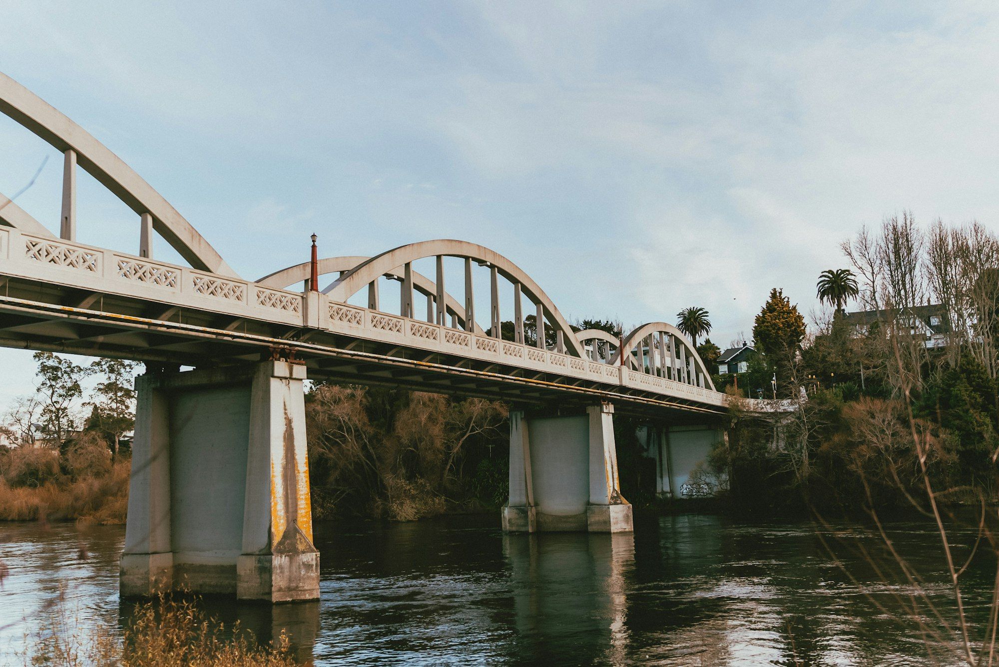 Bridge over the Waikato River in Hamilton at sunset with trees along the bank