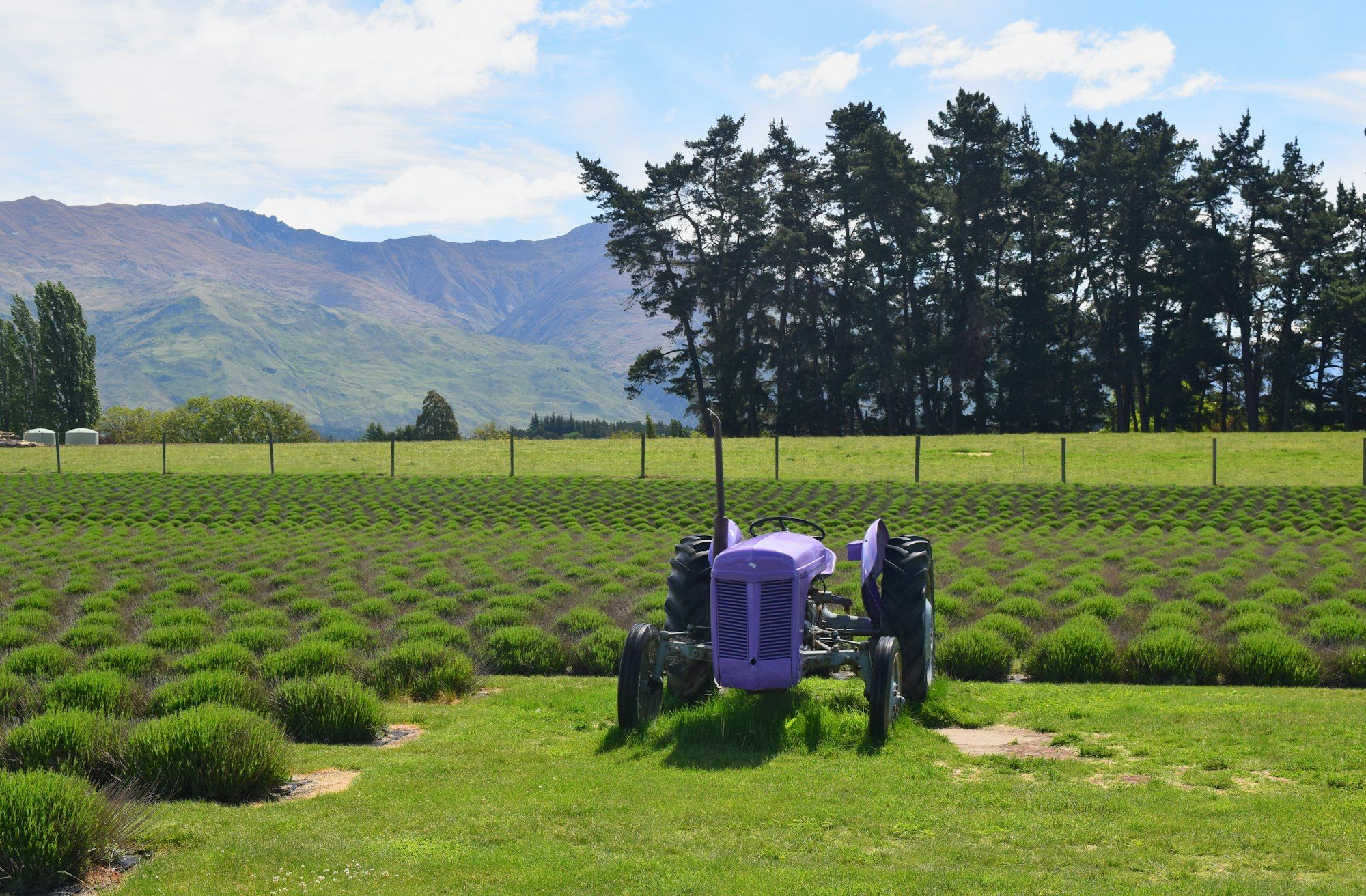 Tractor parked in a paddock near Wānaka with mountains behind